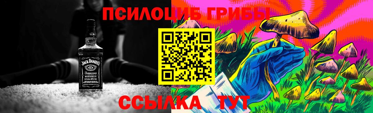 Галлюциногенные грибы GOLDEN TEACHER Россия