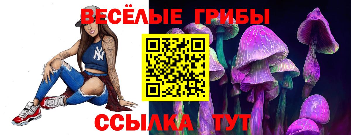 Галлюциногенные грибы Psilocybine cubensis  Псилоцибиновые грибы Cubensis  Россия  Вход с VPN 